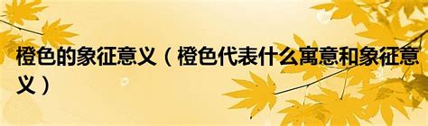 橙色 代表|橙色的含义是什么：象征意义、心理学和用途